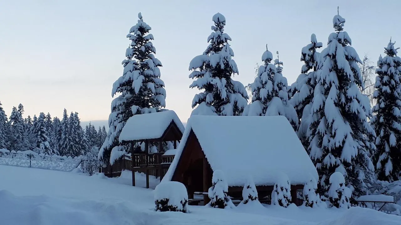 Domek Z Kominkiem Pod Limba Закопане 0*,  Польша